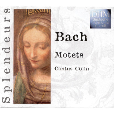 アルバム/Bach: Motets/Cantus Colln