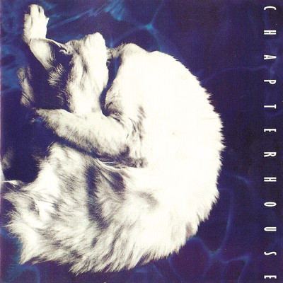 Whirlpool (Expanded Edition)/Chapterhouse