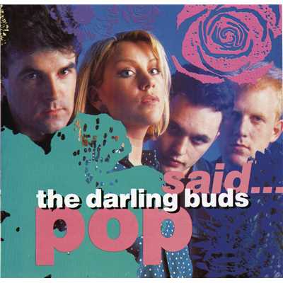 Shame On You (Pop Said Version)/The Darling Buds