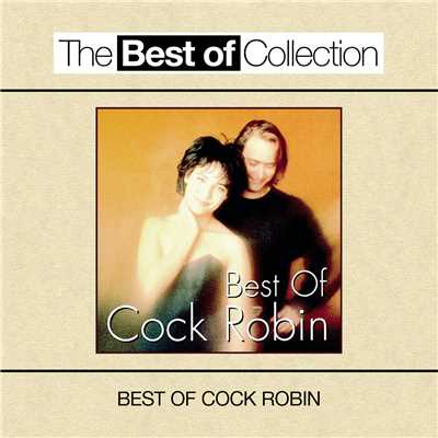 Any More Than I Could Understand/Cock Robin