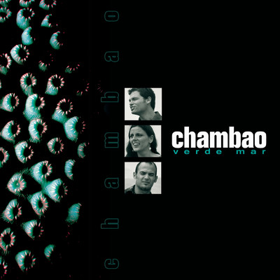 Verde Mar (Fundacion Eivissa Strings Single Remix)/Chambao
