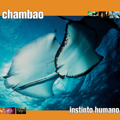 シングル/Instinto Humano (Dr. Kucho！ Weekend Cool Dub)/Chambao