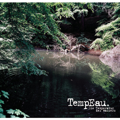 シングル/Staub (Album Version)/TempEau