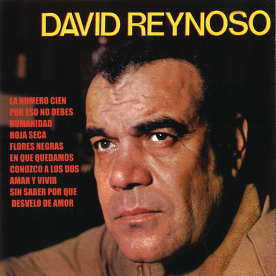 Desvelo de Amor (Bolero)/David Reynoso