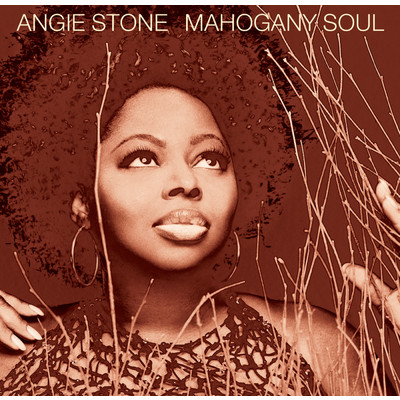 アルバム/Mahogany Soul/Angie Stone