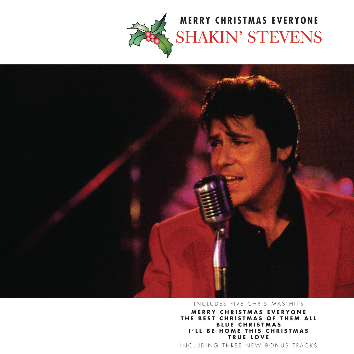 シングル/Merry Christmas Everyone (Instrumental)/Shakin' Stevens