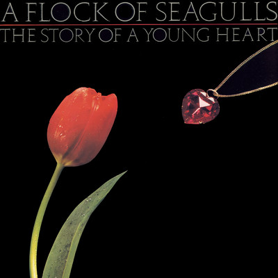 アルバム/The Story Of A Young Heart/A Flock Of Seagulls