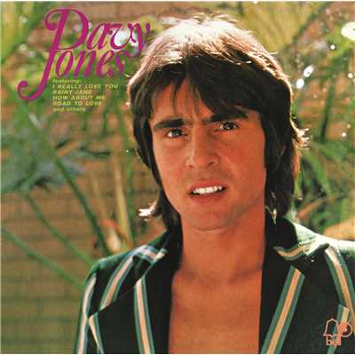 I Really Love You/Davy Jones