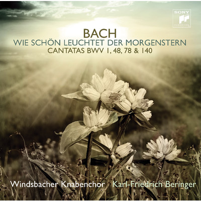 シングル/Wachet auf, ruft uns die Stimme, BWV 140: VII. Gloria sei dir gesungen (Chorale)/Windsbacher Knabenchor