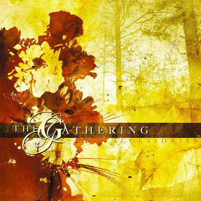 シングル/Shrink (Alternate Version)/The Gathering