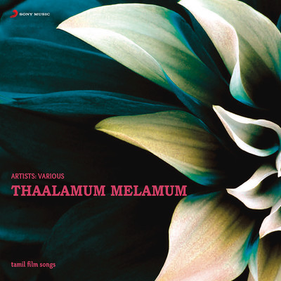 Thaalamum Melamum/Various Artists