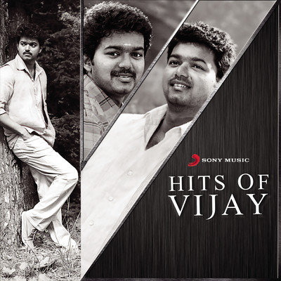 Hits Of Vijay/Various Artists