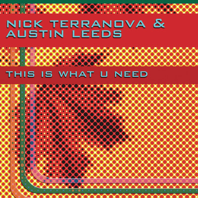 This Is What U Need/Nick Terranova／Austin Leeds