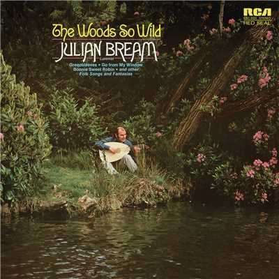 Go From My Window/Julian Bream