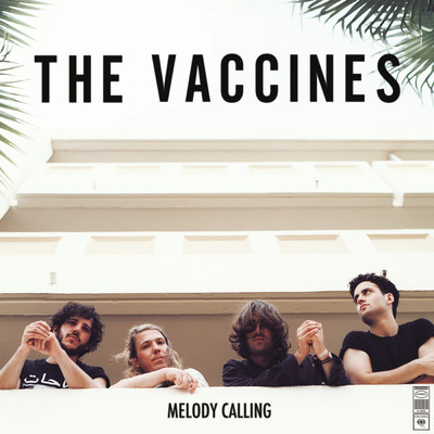 シングル/Melody Calling/The Vaccines