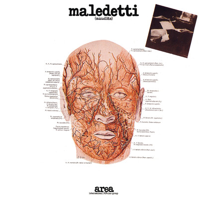 Maledetti/Area