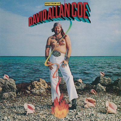 Now's the Time (To Fall in Love)/David Allan Coe