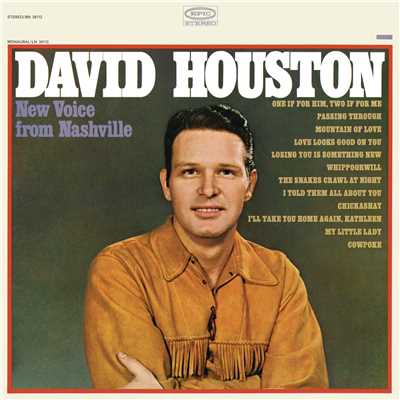 アルバム/New Voice from Nashville/David Houston