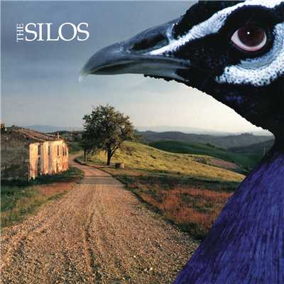 Anyway You Choose Me/The Silos