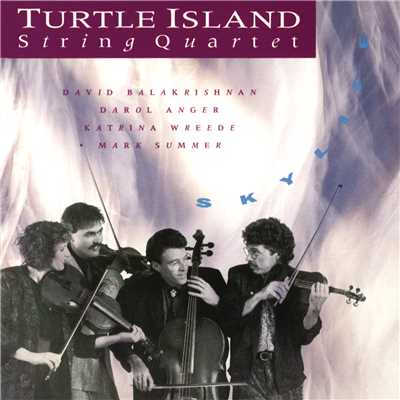 You Noticed Too/Turtle Island String Quartet