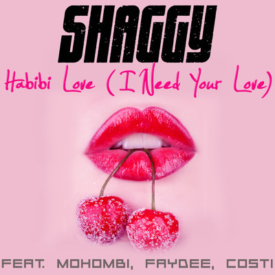 Habibi Love (I Need Your Love) feat.Mohombi,Faydee,Costi/シャギー