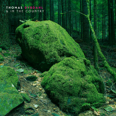 Thomas Dybdahl & In The Country/Thomas Dybdahl／In The Country