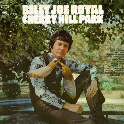 アルバム/Cherry Hill Park/Billy Joe Royal