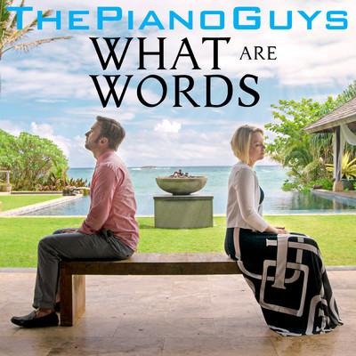 シングル/What Are Words feat.Peter Hollens,Evynne Hollens/The Piano Guys