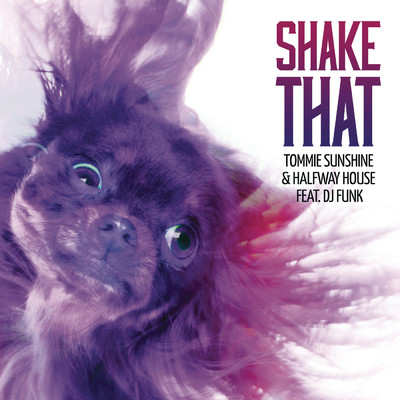シングル/Shake That (Radio Edit) feat.DJ Funk/Tommie Sunshine／Halfway House