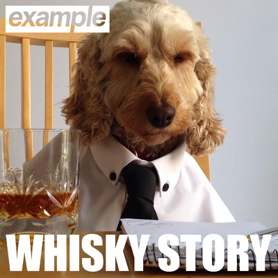 シングル/Whisky Story/Example