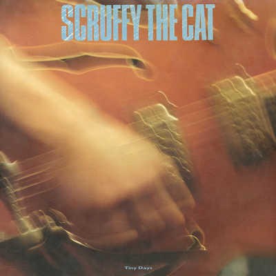 アルバム/Tiny Days/Scruffy The Cat