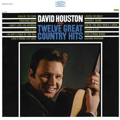 アルバム/Sings Twelve Great Country Hits/David Houston