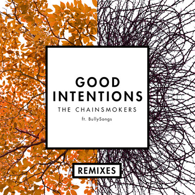 シングル/Good Intentions (Speaker of the House Remix) feat.BullySongs/The Chainsmokers