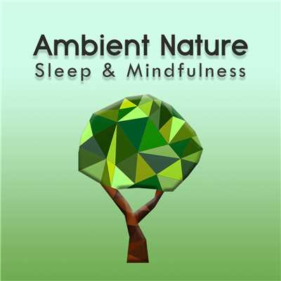 Ambient Nature (Sleep & Mindfulness)/Sleepy Times／The Sleep Specialist／Natural Sound Makers