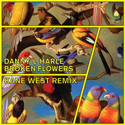 Broken Flowers (Kane West Remix)/Danny L Harle