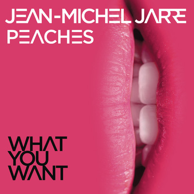 What You Want/Jean-Michel Jarre／Peaches