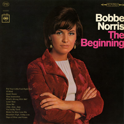 The Beginning/Bobbe Norris