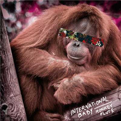 シングル/Monkey Flute (Radio Edit)/International Baby