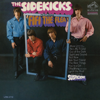 Out of the Dark/The Sidekicks