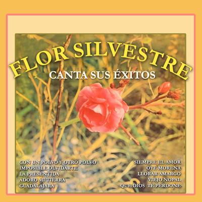 Llorar Amargo/Flor Silvestre