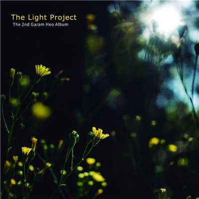 シングル/In the Light (Instrumental)/Heo Garam
