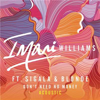 シングル/Don't Need No Money (Acoustic)/Imani Williams