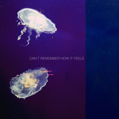 Can't Remember How It Feels/CHINAH