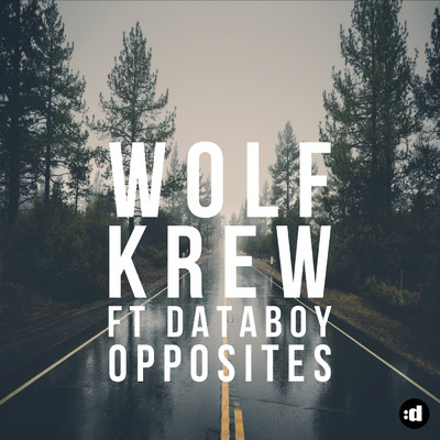 Opposites feat.Databoy/Wolf Krew