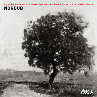 Nordub feat.Eivind Aarset,Vladislav Delay/Sly & Robbie／Nils Petter Molvaer