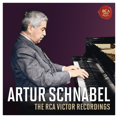 Piano Sonata No. 30 in E Major: I. Vivace non troppo/Artur Schnabel