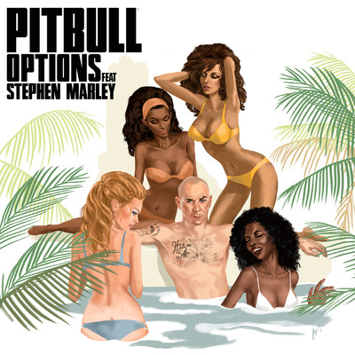 シングル/Options (Explicit) feat.Stephen Marley/Pitbull