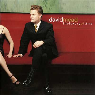The Luxury of Time/David Mead
