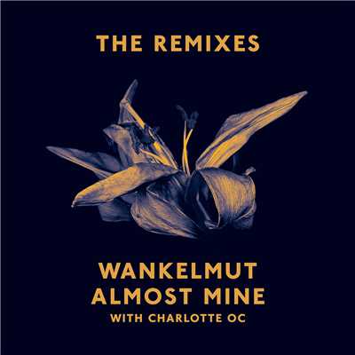 Almost Mine (The Remixes)/Wankelmut／Charlotte OC