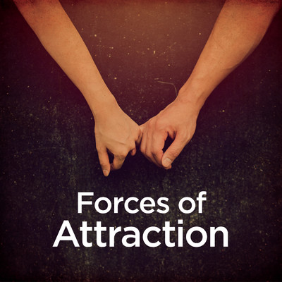 Forces of Attraction/Michael Forster